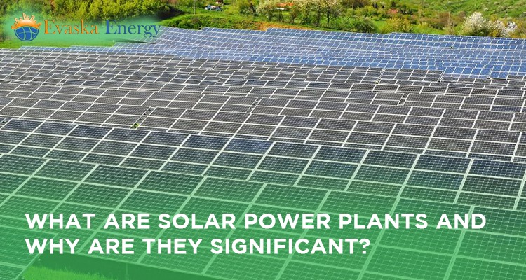 What are Solar Power Plants and Why are They Significant?