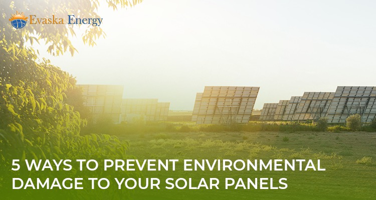 5 Ways To Prevent Environmental Damage To Your Solar Panels